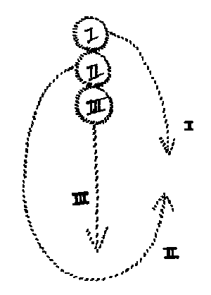 Diagram XIV