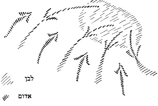 D:\Pictures\ללא שם.jpg