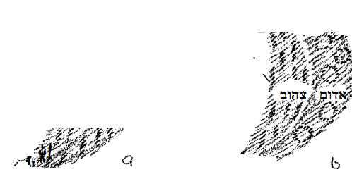 D:\Pictures\‏‏ככככ - עותק.png