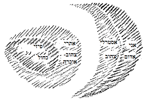 D:\Pictures\סבס.png