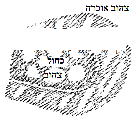 D:\Pictures\‏‏sdsds - עותק.png