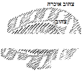 D:\Pictures\sdsds.png